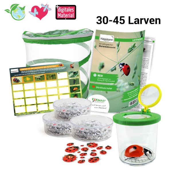 Group Project Set "Ladybirds", 9 pcs.