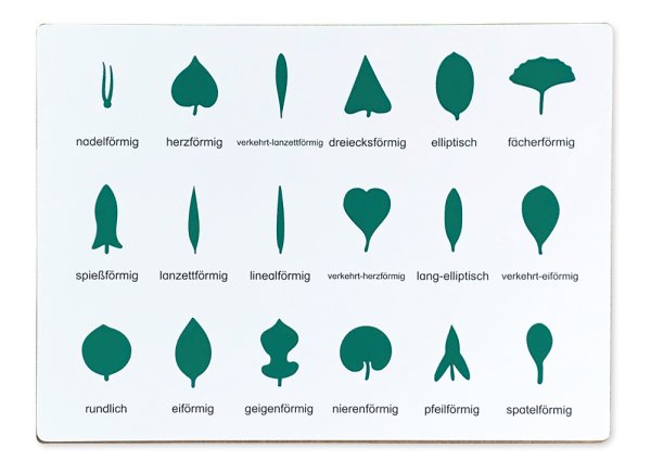 TimeTEX Botany Cabinet Control Chart, German "Montessori Premium"