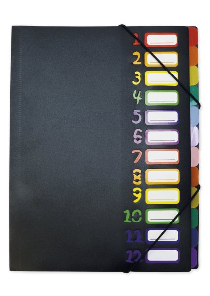 TimeTEX Table Multi-Compartmental Folder 1-12 A4, coloured with rubber closure
