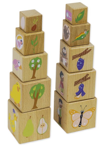 Wooden die "Life cycle", 10 pieces