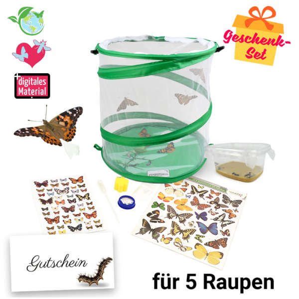 Gift Set "Butterflies", compact, 8 pcs.