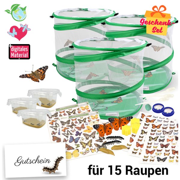 Gift Set "Group Project Butterflies", 17 pcs.