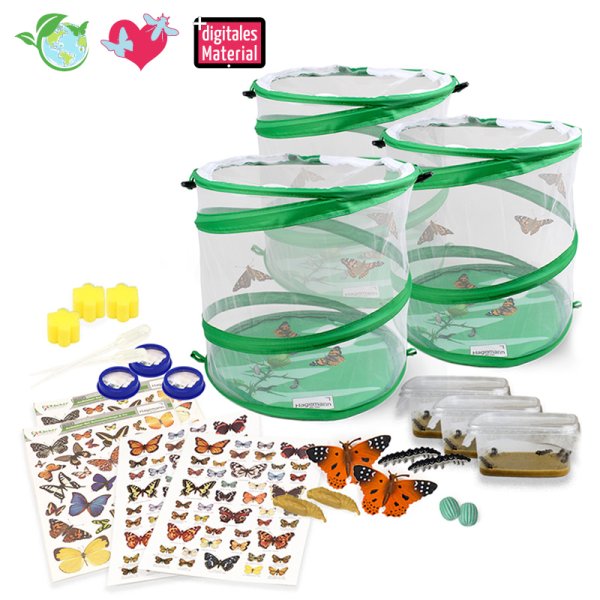 Group Project Set "Butterflies", 21 pcs.