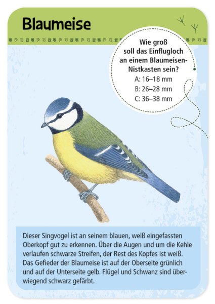 Discover & Identify 50 Native Birds