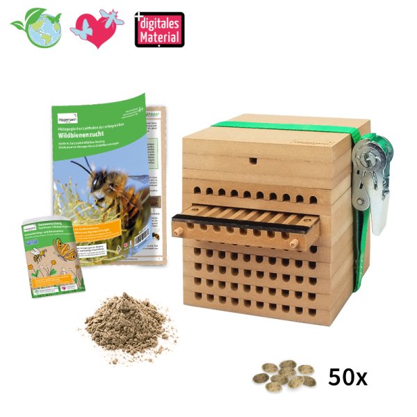 Breeding Kit "Wild Bees with Cocoons", 5 pcs.