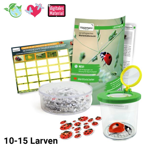 Breeding Kit "Ladybird", 6 pcs.