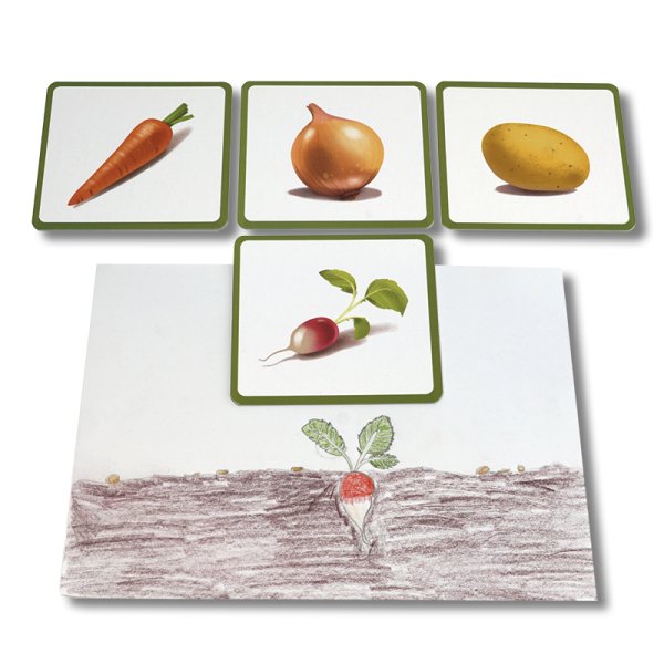Picture Cards, Vegetables, 24 pcs.