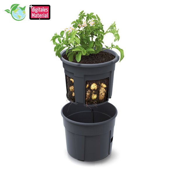 Growing and Observation Pot for Potatoes, 2 pcs.