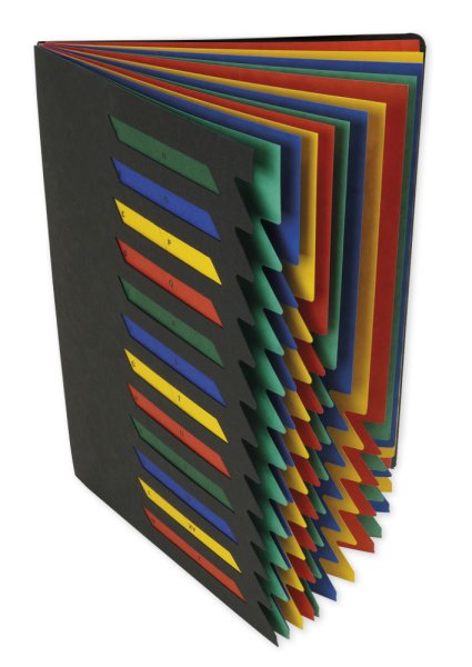 TimeTEX Multi-Compartmental Folder 1-12, cardboard, A4, coloured with rubber closure