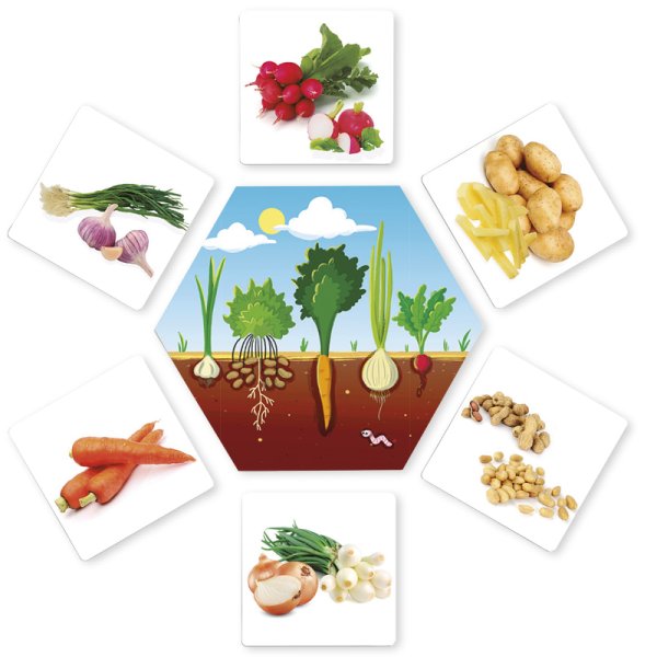 Where Does our Food Come From? 36 pcs.
