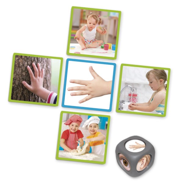 Sorting game "The 5 senses", 51 pieces