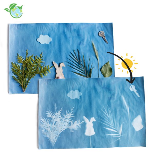 Photosensitive paper maxi, 43x27 cm, 20 sheets