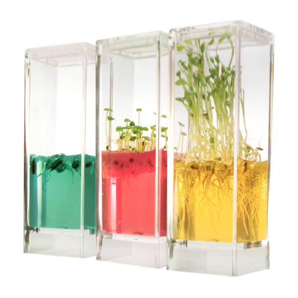 Observation Set "Plant Germination Station", 13 pcs.