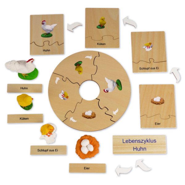 TimeTEX Life Cycle of a Chicken, in wooden box, German "Montessori Premium"