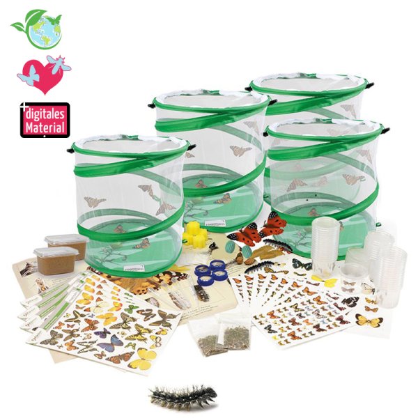 Class project set "Butterfly breeding", 65 pcs