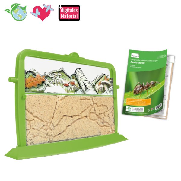 Ant World, 9 pcs.