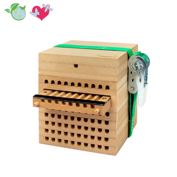 Educational Nesting Box with Observation Drawer, 4 pcs.