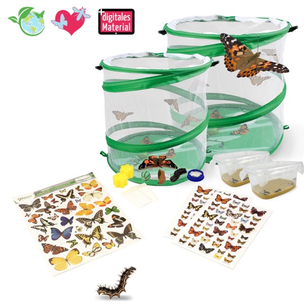 Breeding Kit "Butterflies", large, 12 pcs.