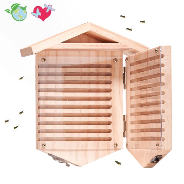 Wild bee hotel with observation facility, made of wood, hinged