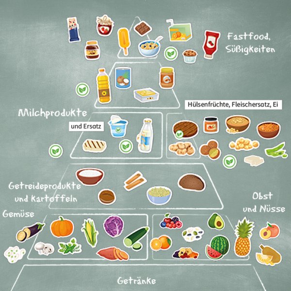 Vegetarian & vegan nutrition, magnetic, 57 pcs.