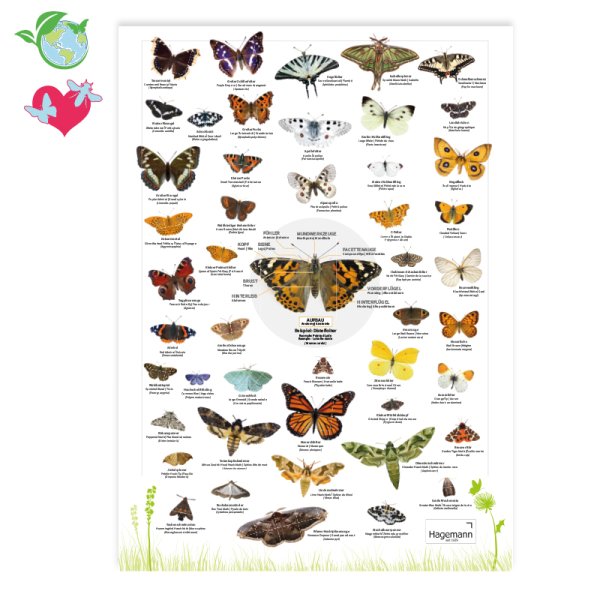 Nature Poster A2 "Butterflies"