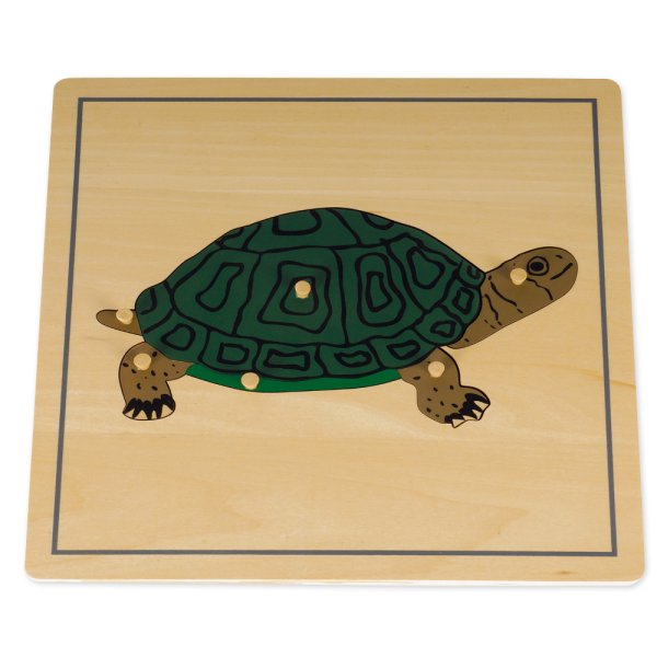 TimeTEX Puzzle Turtle "Montessori Premium"