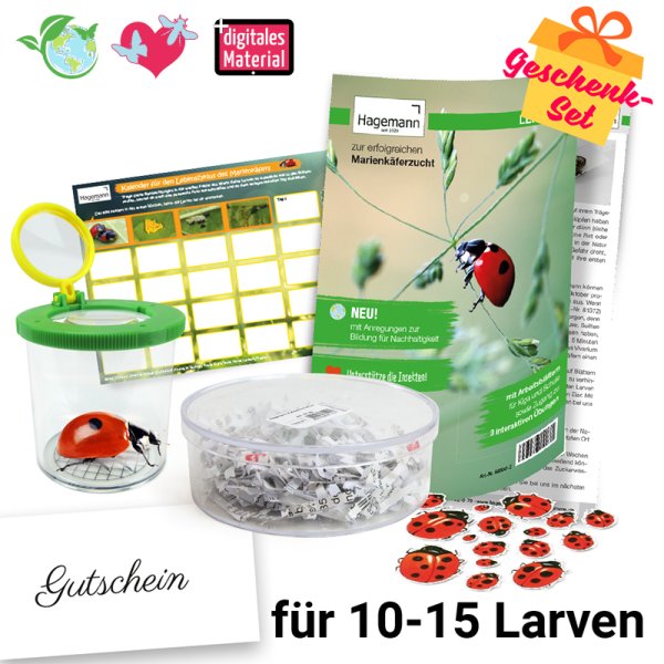 Gift Set "Ladybird", compact, 5 pcs.