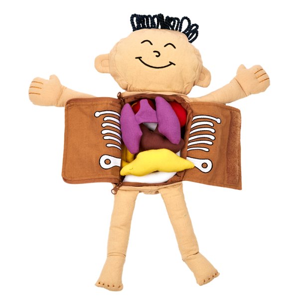 Research toy, my body, 9 parts