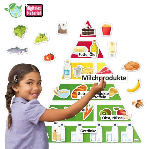 Food Pyramid with Food, magnetic, 70 pcs.