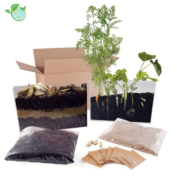 Observation Set "Roots + Earthworms", 13 pcs.