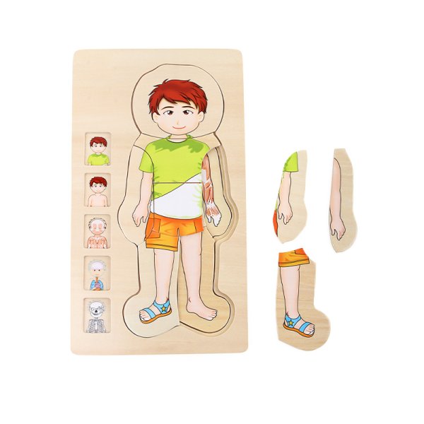 Layer Puzzle "Boy's Body", 28 pcs.