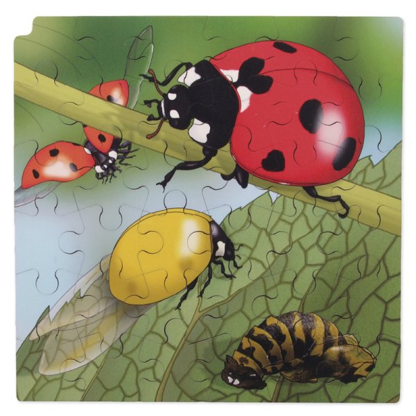 Layer Puzzle "Ladybird" + free app, 86 pcs.
