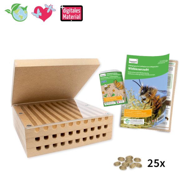 Breeding Kit "Wild Bees", compact, 4 pcs.