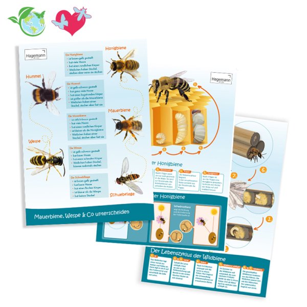 Set of Bee Posters A2, 3 pcs.