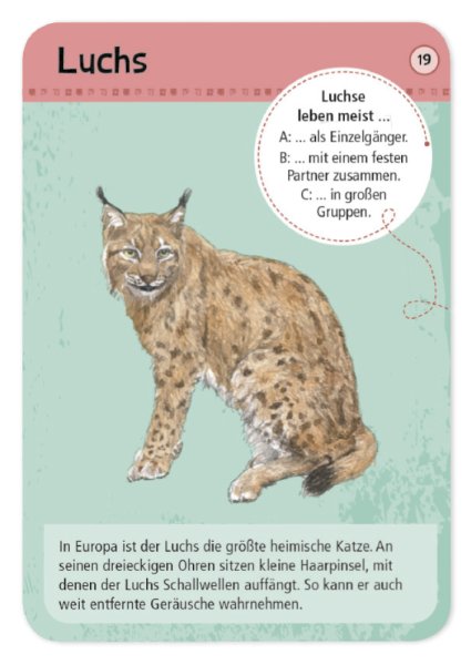 Discover and Identify 50 Woodland & Wild Animals