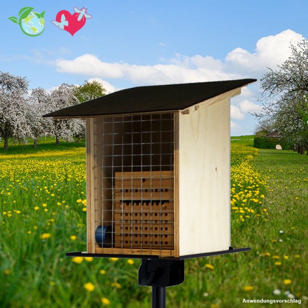Bee Weather House for Educational Purposes