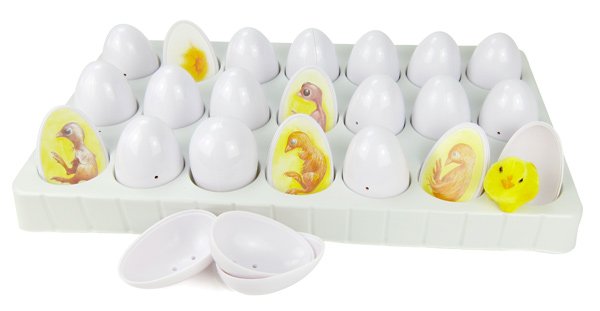Development Cycle Model "Chick", 22 pcs.