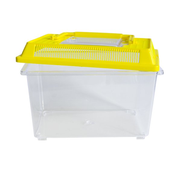 Insect observation box, plastic