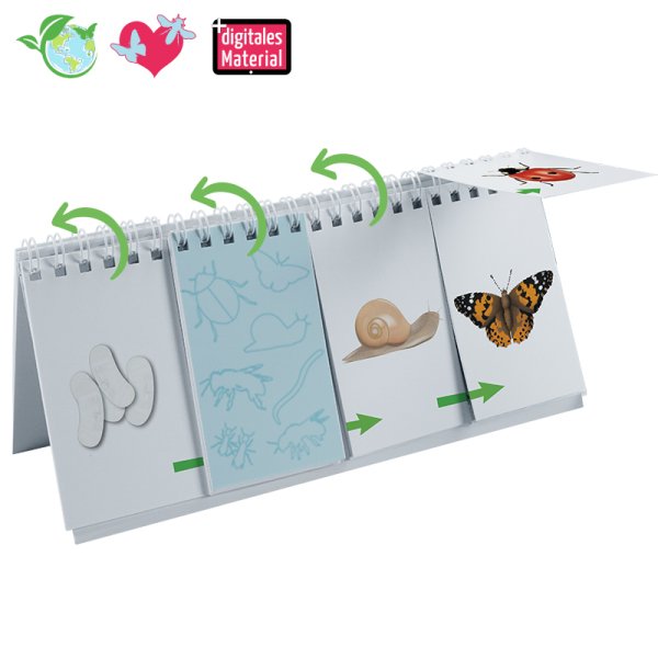 Lift-the-flap flipchart "Lifecycle: butterflies, bees etc."