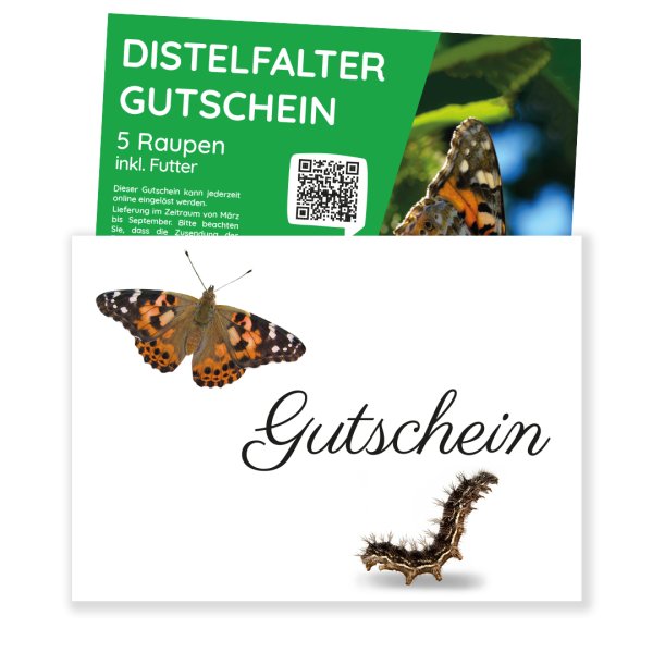 Caterpillar Gift Voucher