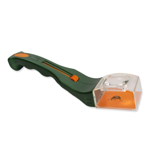 Professional insect catcher with magnifying glass, wooden
