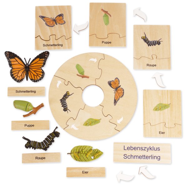 TimeTEX Life Cycle of a Butterfly, in wooden box, German "Montessori Premium"