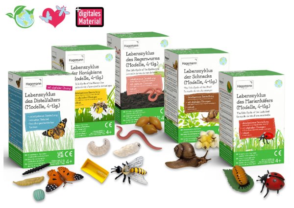 Set Life Cycle Model "Insects etc.", 20 pcs.