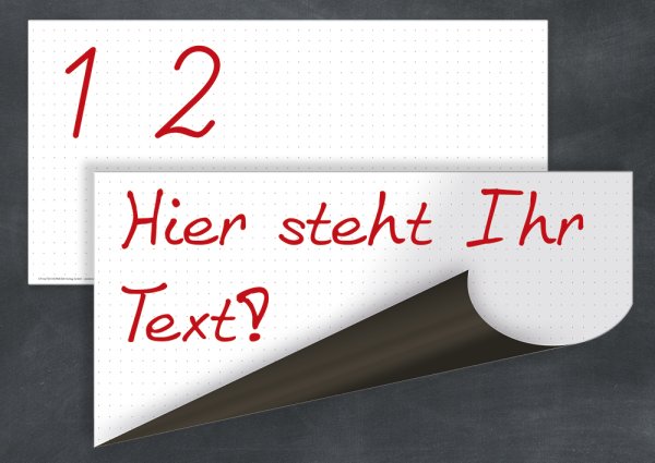 Timetex Flexo Whiteboard with dot grid, magnetic, 2 pcs.