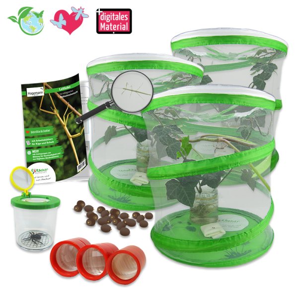 Group Project Set "Stick Insects", 7 pcs.