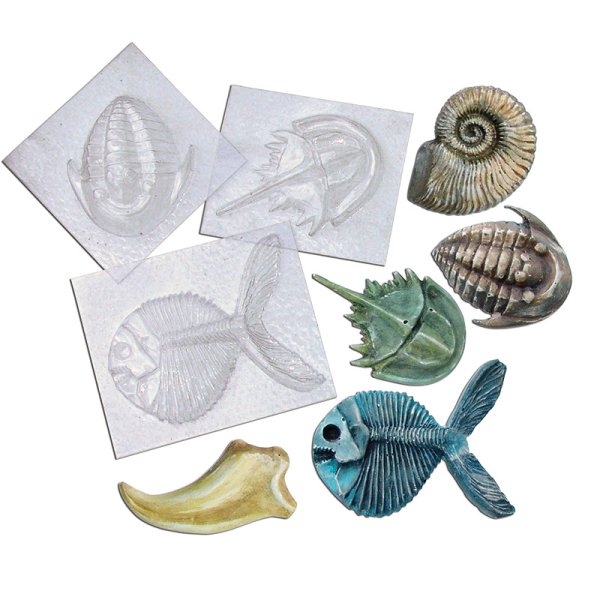 Set Moulds "Fossils", 5 pcs.