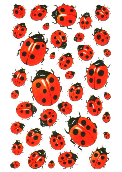 Commendation Stickers, Set of 228, ladybirds