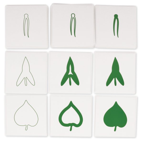 TimeTEX Leaf Cards "Montessori Premium"