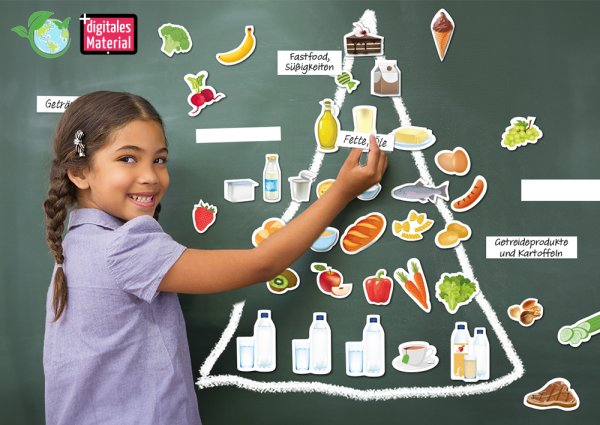 Food, magnetic, 53 pcs.