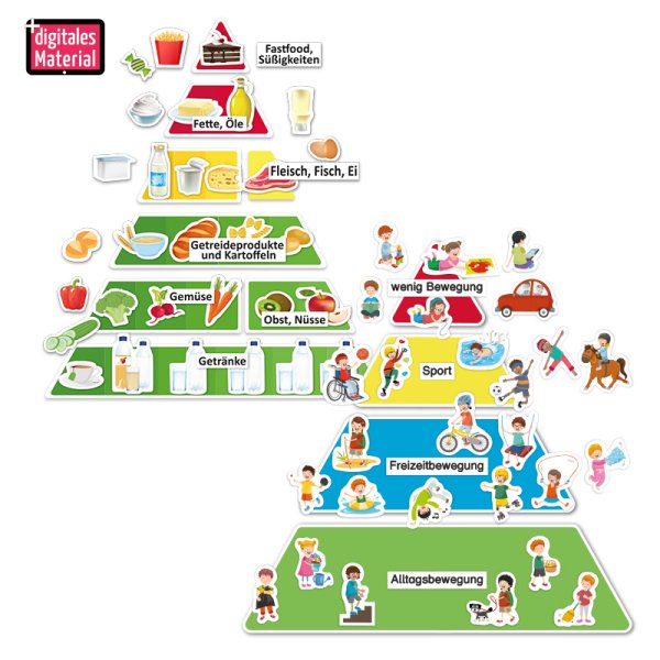 Set food pyramid & activity pyramid, magnetic, 111 pcs.